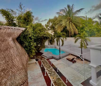 Slider image (9) Ibogaine Cancun